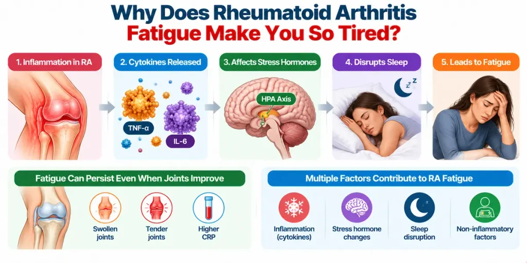 Why Does Rheumatoid Arthritis Make You So Tired
